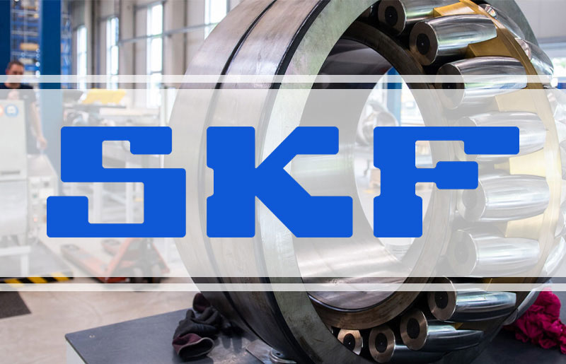 SKF Bearing